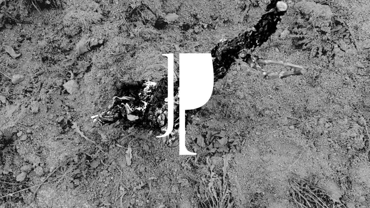 Julio Prieto / Origen
